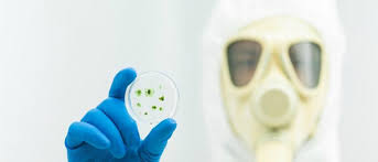 Mold Contamination Levels