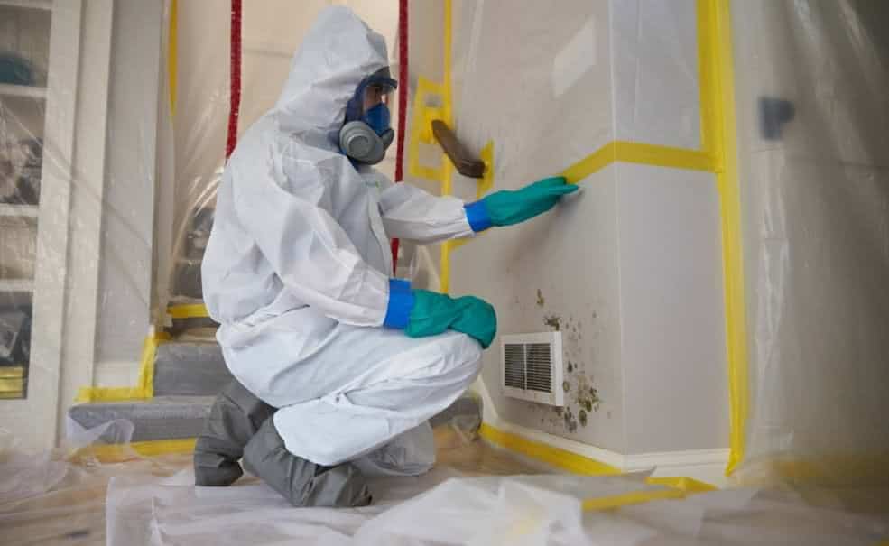 Getting rid of Mold