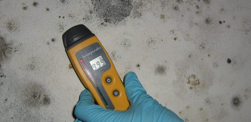 DIY Mold Removal