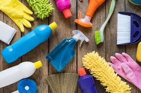 Mold Remediation Kit