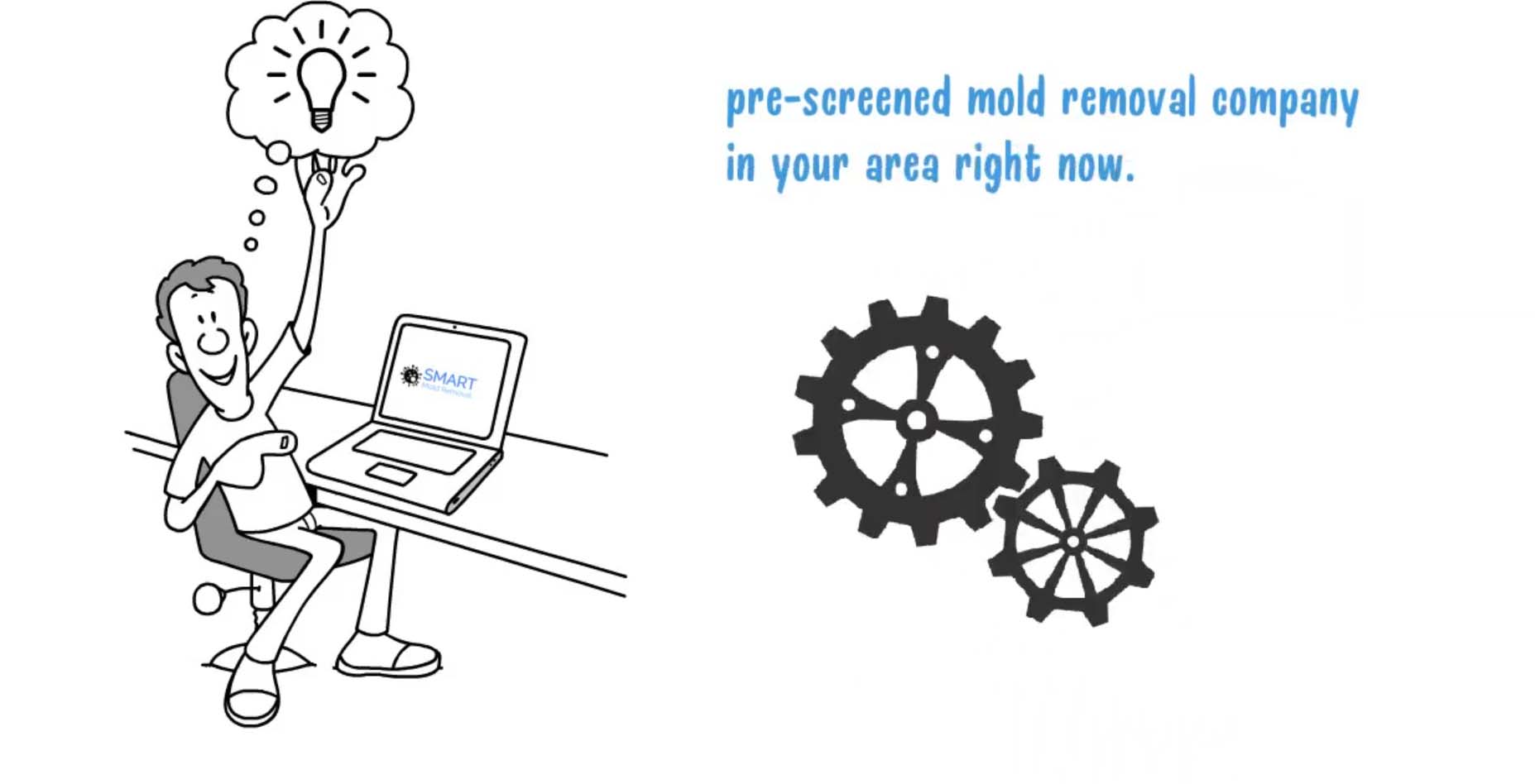 About Smart Mold Removal