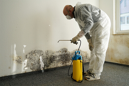 Mold removal pricing Cleveland
